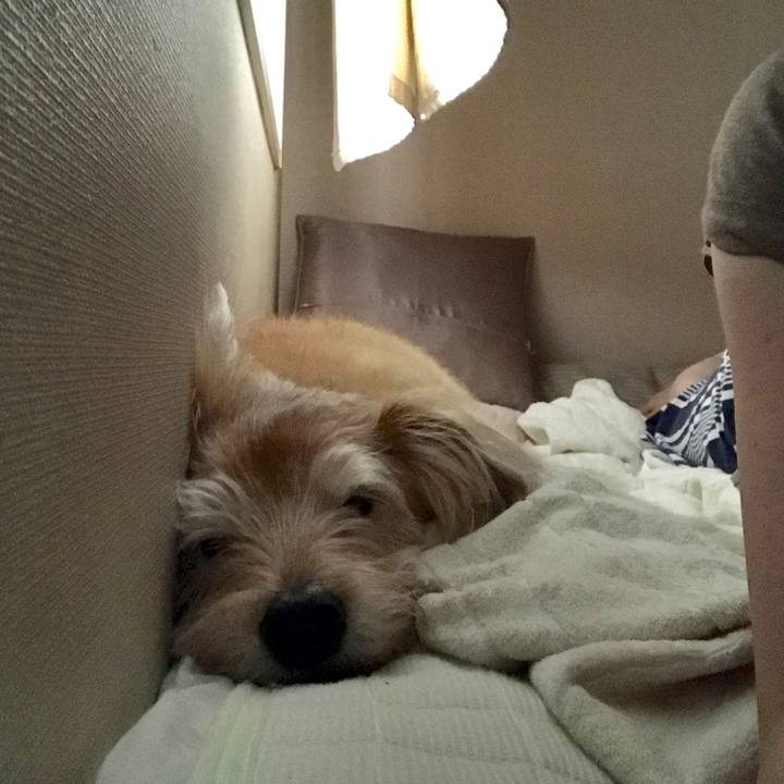 58ac47b2 4f14 40ea b375 94d158abefef 1600475682838