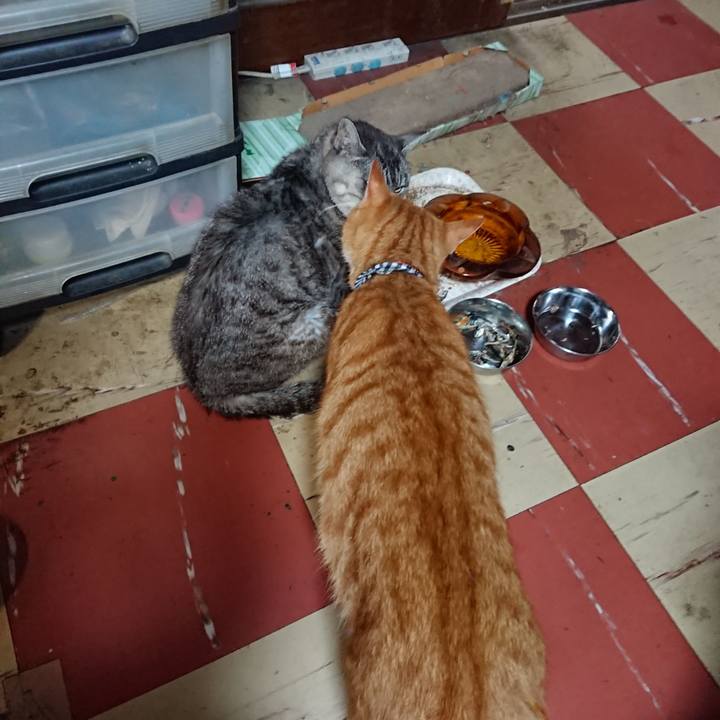 58acaa73 97de 425d 975b a29cff1122a0 1570229320013