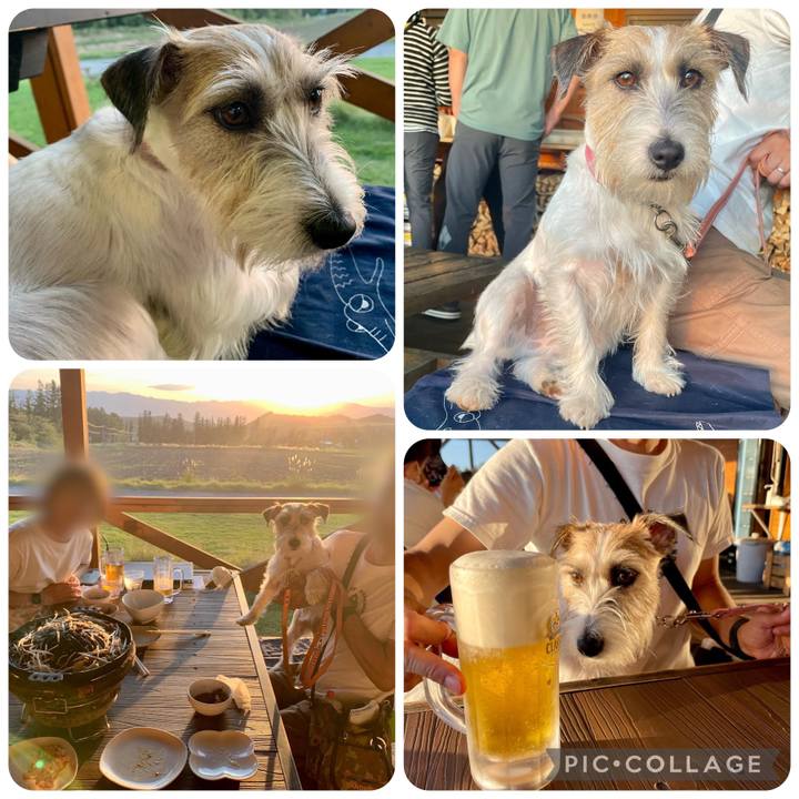 58acc3cc 3c3e 4e02 8913 e781c193cfae 1662902937729