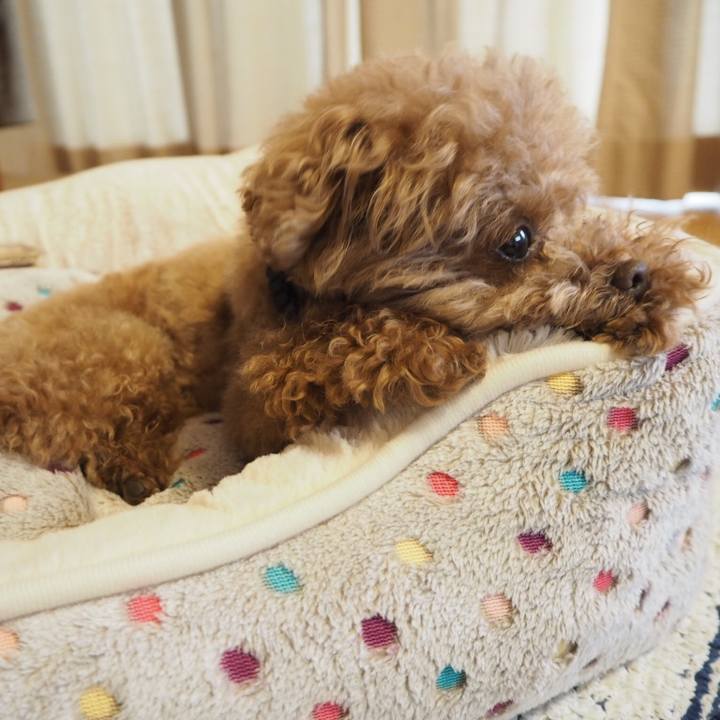 58ad267e c166 45b4 bf11 63f25262a257 1526190889743