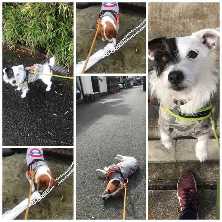 58ad2b6e 27c2 4dc1 aad1 dff805d7b360 1524032354755