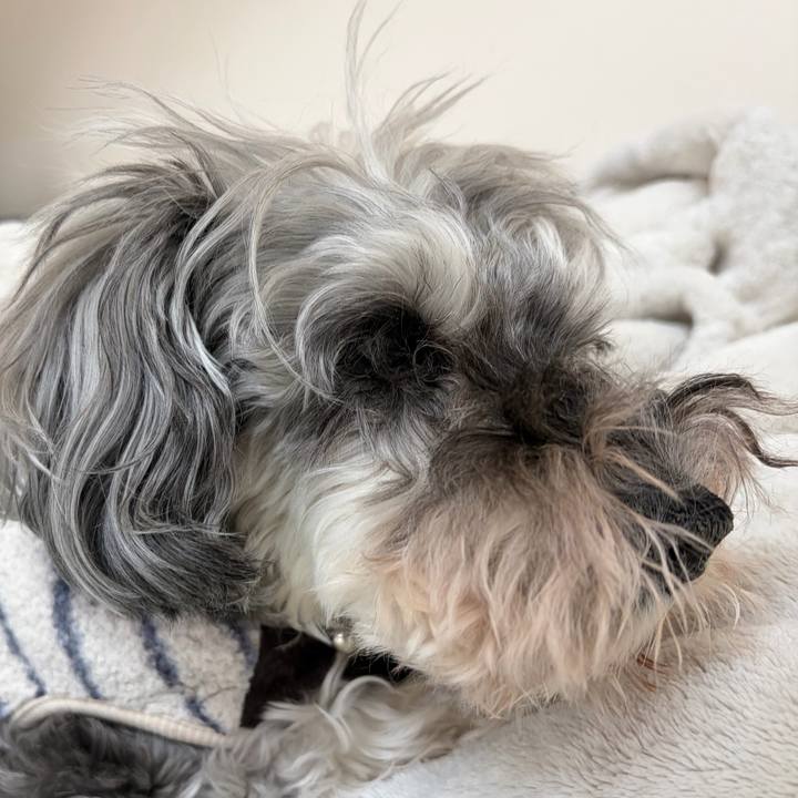 58ad3bc8 96a6 470b b841 86d66993d889 1766799901306