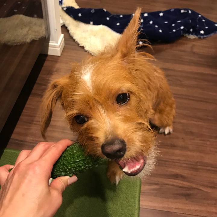 58ad72b1 527a 492f b3ab cadca0625c2d 1536744766873