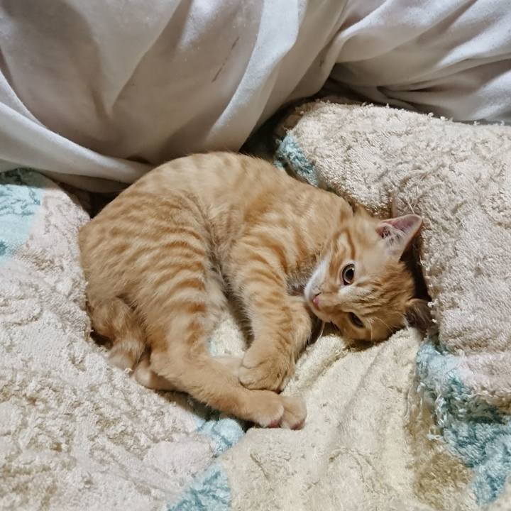 58ad878b 616d 4b88 b1db 10d74236bb51 1633262257554