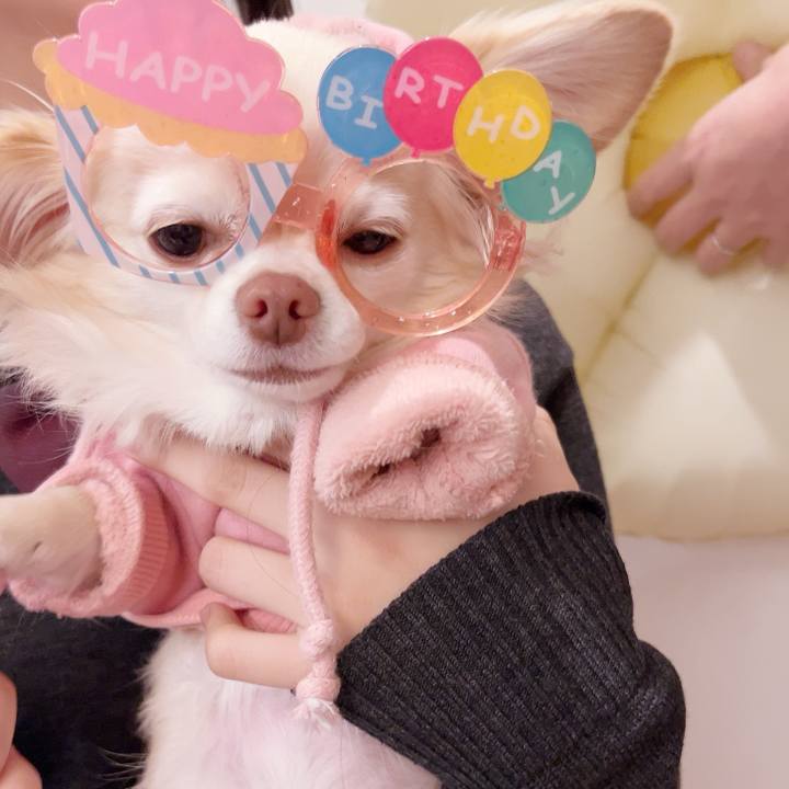 58ada5c5 ebec 44b6 9765 44e848643ca7 1738157158683