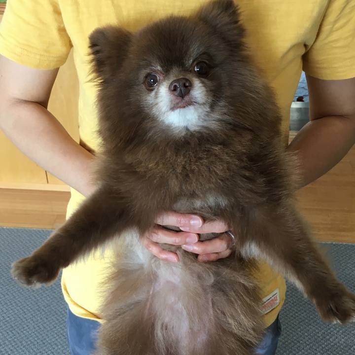 58adb8e1 1fff 40ca 885c 0ef52ad9c86d 1528201247606