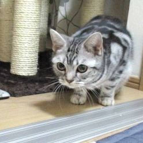 58ae613b 253a 4e0d b0bc e2648db12c72 1541154215978