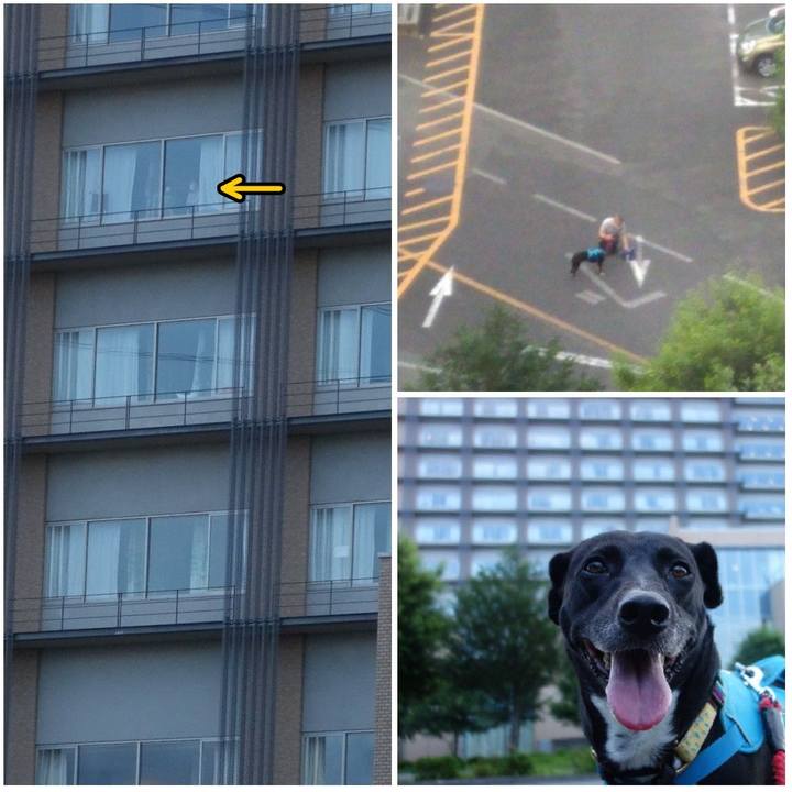 58ae6d6a ddf8 45c2 984c 2a17bc7c2575 1624528841818