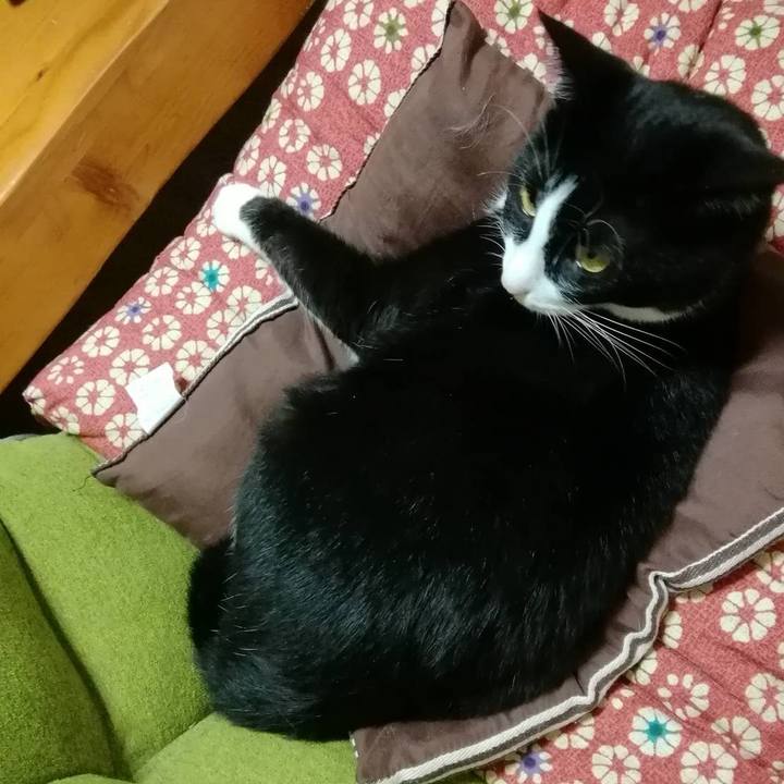 58ae990f 4ba4 4548 8c19 e905c630a218 1601907037684