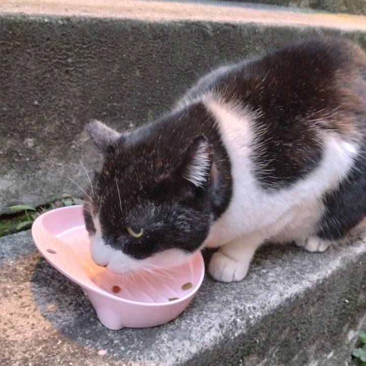 58aed5dc 2734 4dd3 bef5 a5e33a0565c0 1703317771146