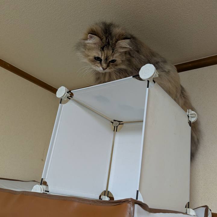 58aed630 c643 4b40 b750 e1004a885288 1742946220612