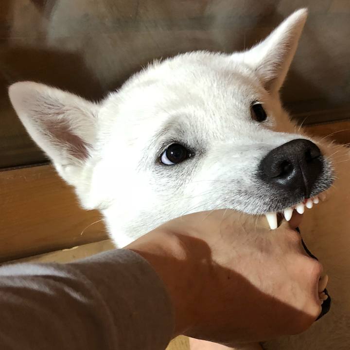 58af15ae a8e8 4017 b38f 759d19aef30e 1523863810241