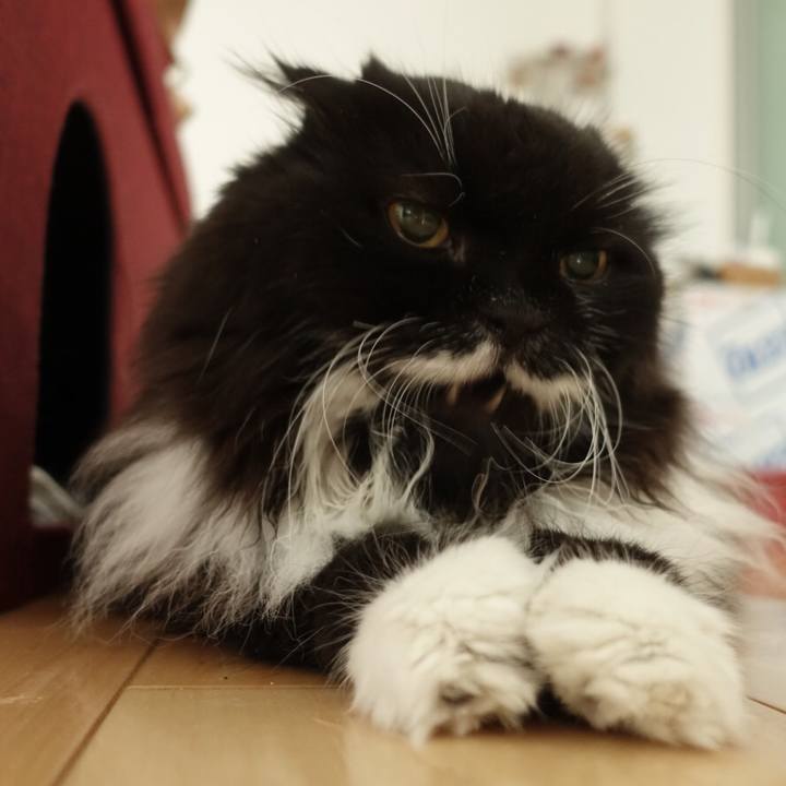 58af80f1 8735 4f6b 8c09 6316d58ae280 1565706544296