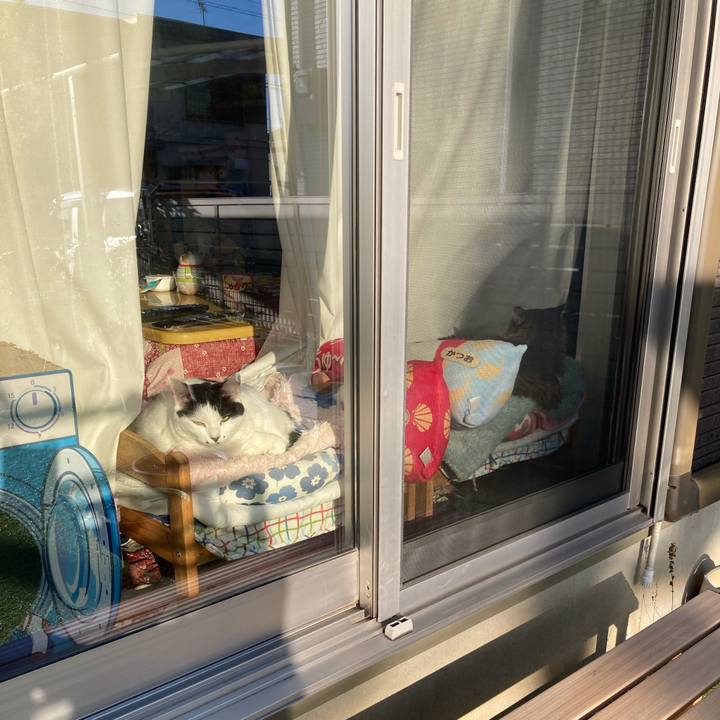 58af8c53 7af6 48f8 971f 31bd86960ca7 1770879023744