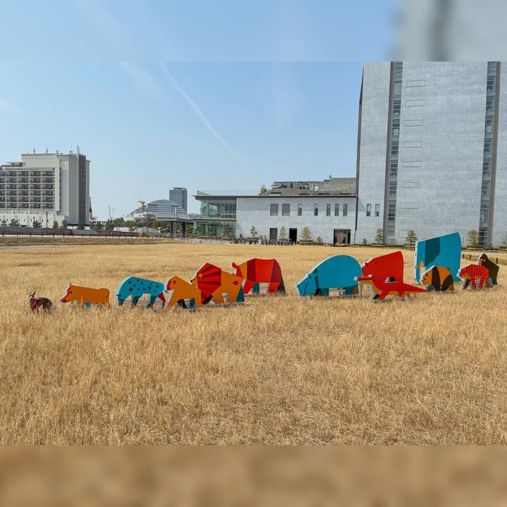 58af96b2 b0eb 4b49 bdea 56e01cce008b 1776080728448