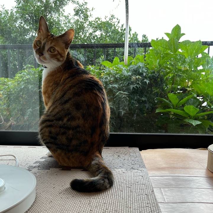 58afcdf1 b800 4584 b4e6 bf291d12acb3 1688887536932