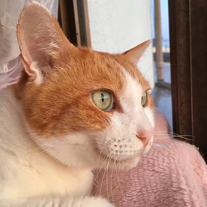 58afefcd b23a 4b2a 9cec 9161946d4ff3 1573442700032