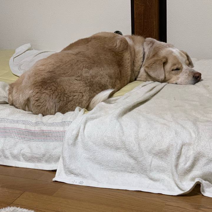 58b01232 ce13 4fb8 bf2a ef2349bd173e 1551792192832