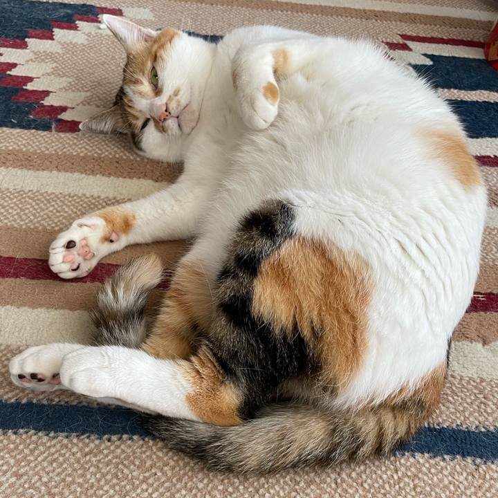 58b029de 73aa 412f b3d9 2404531bfeaf 1656716353113