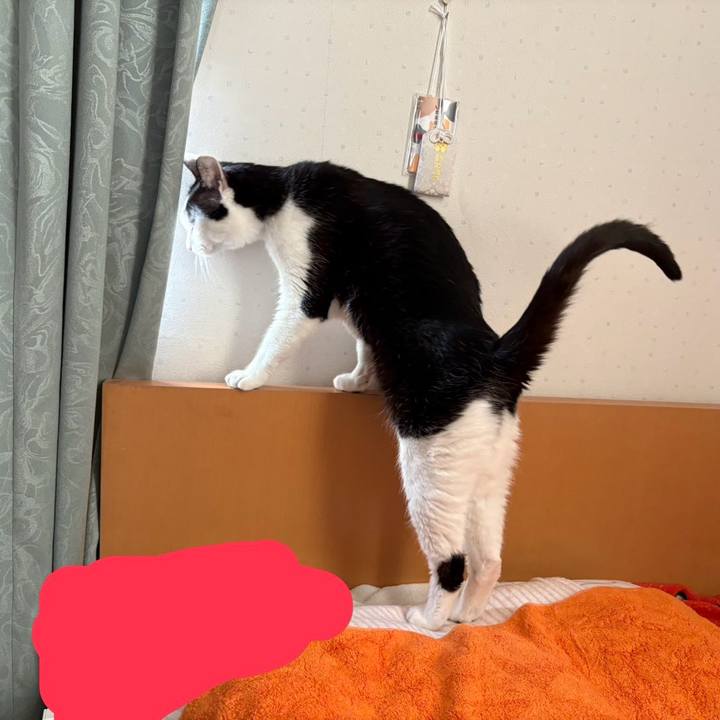 58b037d9 d538 43f4 94ef 3295aea2f885 1766979753618