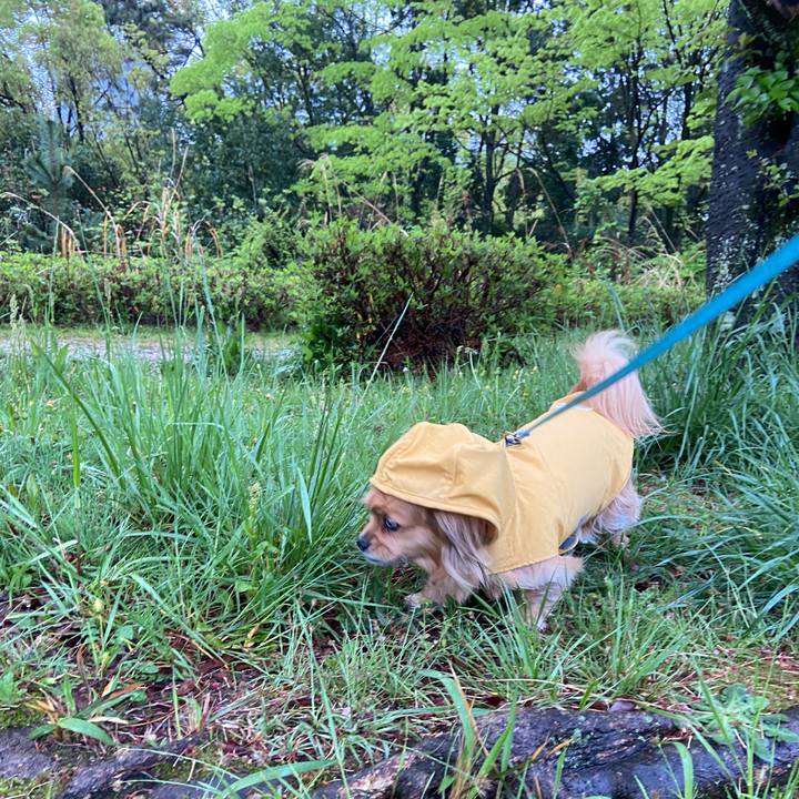 58b06dac 6ae1 492c 93f2 a99335c053d9 1649971632102