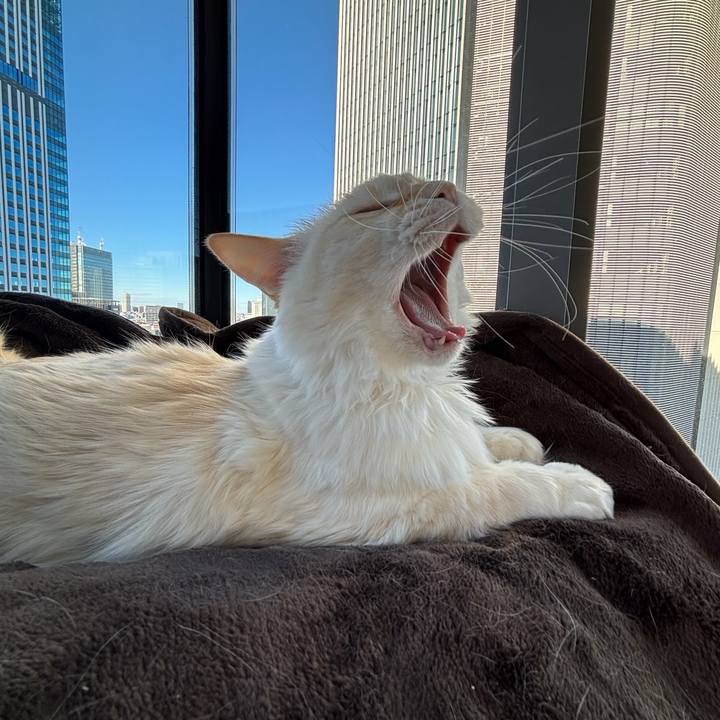 58b07dac b415 4acd 948b 6946bf9a8252 1767411690042