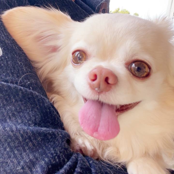 58b0b2aa 36a2 41c5 8c04 ae3ed0664d0e 1744155803496