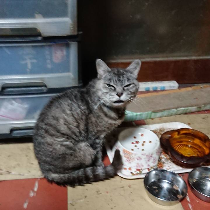 58b0c169 43b9 4bd1 87e1 2c2a9bf04091 1570393015137