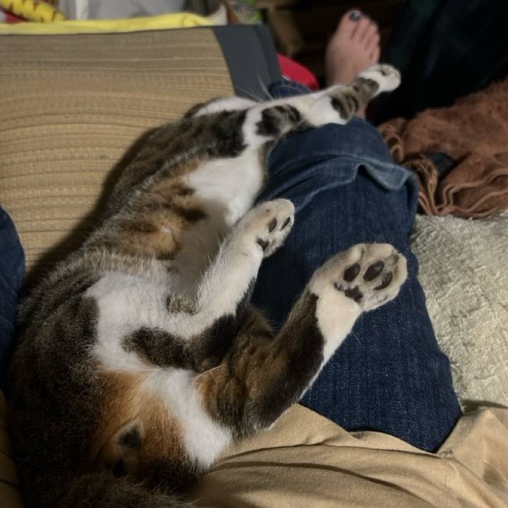 58b0d1c0 ae41 46e3 911e 257064b6dda0 1755420745805