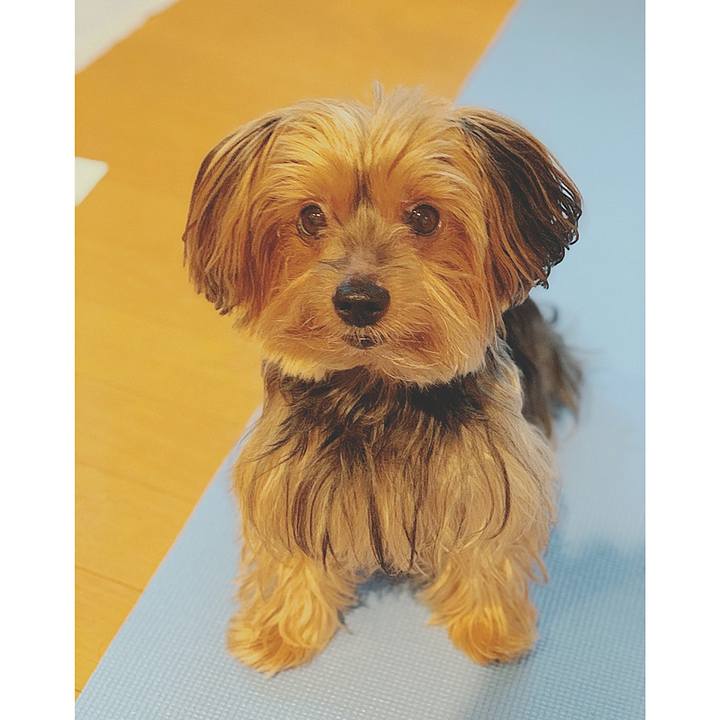 58b0e31c f81e 4826 803d 88544d2a43fb 1570840232013