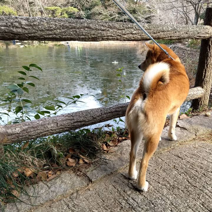 58b12510 ced0 4999 bf09 943e14f77ef8 1517273044539