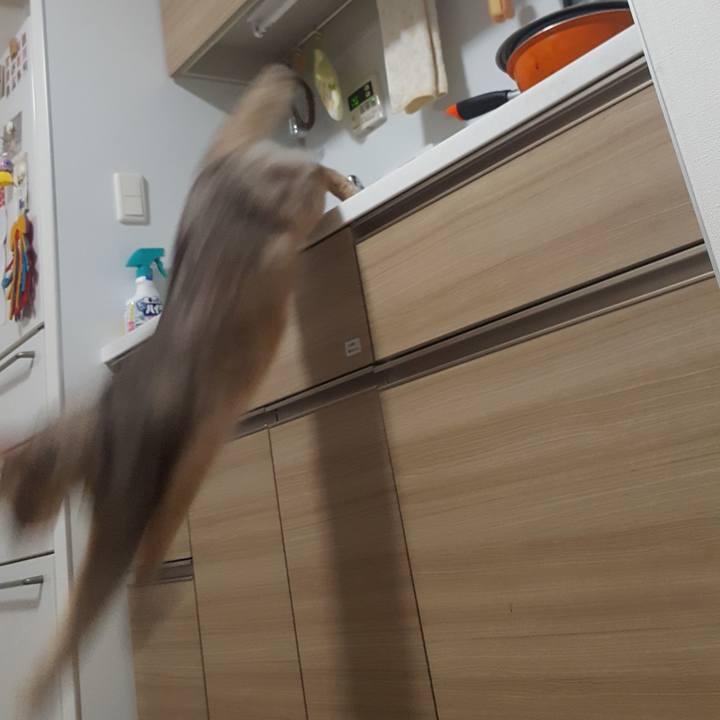 58b12e3d 7d3f 4474 8b3b 6a85535f5942 1583240047889