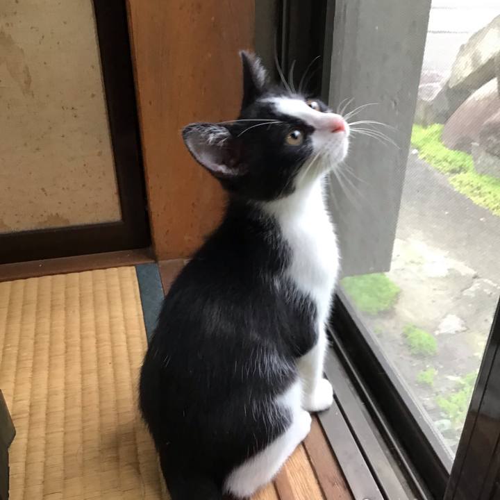 58b14876 d7f9 4b1c a862 964bea808fa5 1625383246138