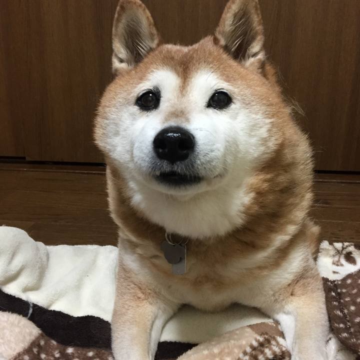 58b1547a 0207 499a aba0 d362865f25a1 1546250201201