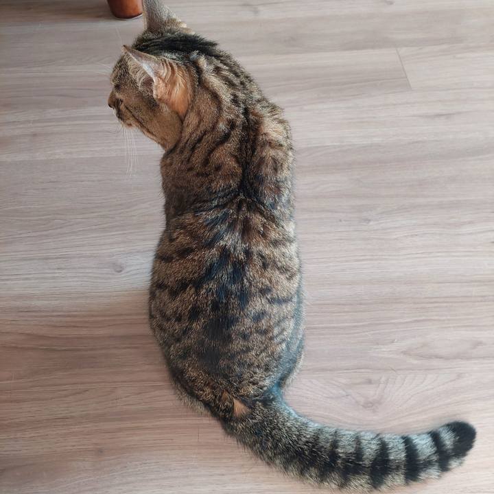 58b197fc eb0e 4128 a987 4685eeb3da49 1768001459580