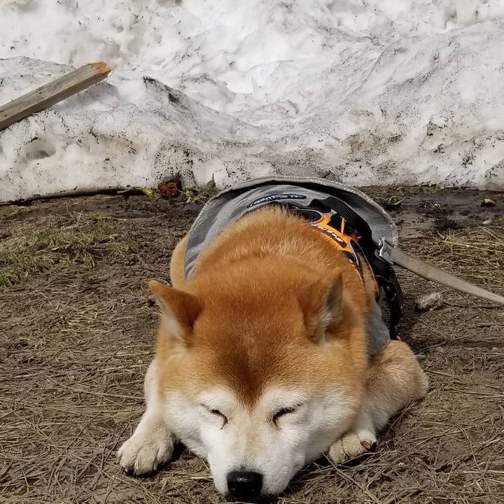 58b22262 f040 451e 8165 a4a41b35abe2 1616216237091