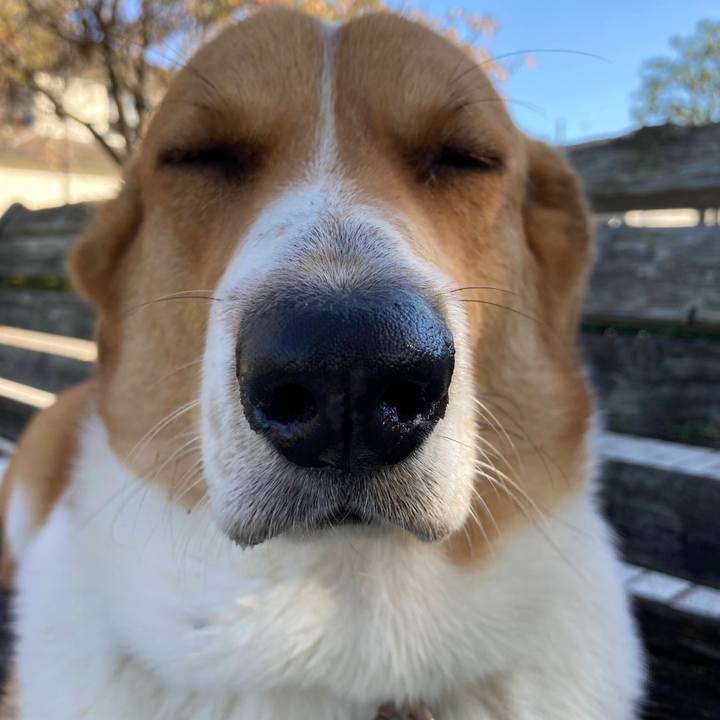 58b22d36 365a 4bef b9d2 2e75615c5968 1635293915860