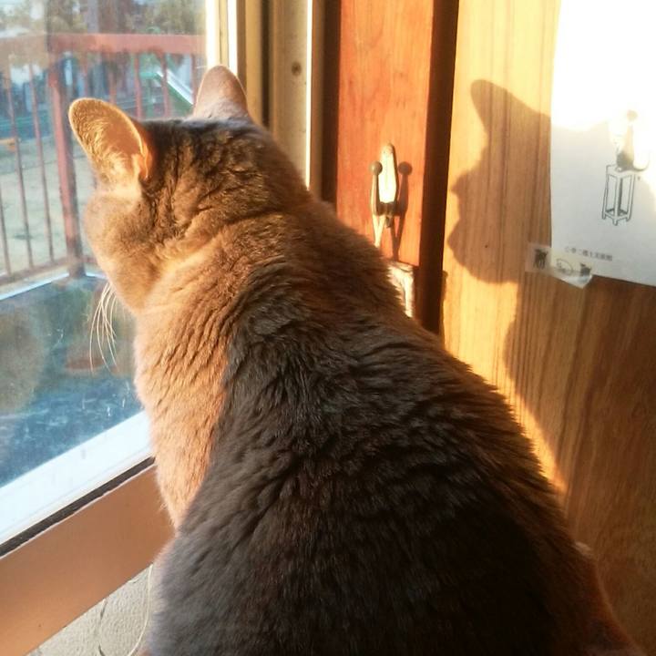 58b236d7 36be 4a96 ba4a 7ae985329c23 1521839629479