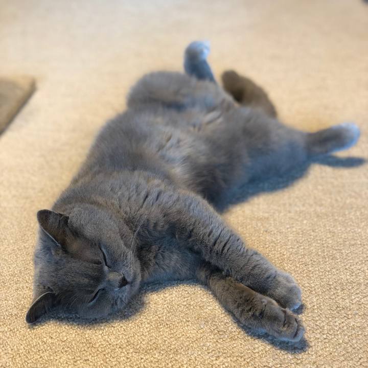 58b267dc 8504 4ff9 b462 53b875272cbb 1589194141369