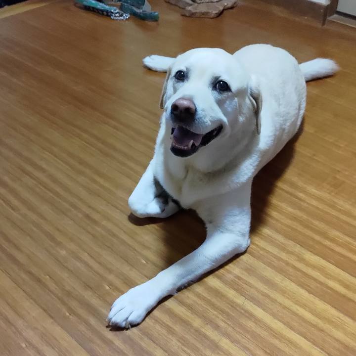 58b27229 56f6 413b 8619 81dbdfd1d3f0 1693199522177