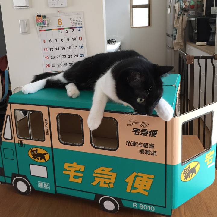 58b287fb 1b7b 4300 838d e78a9a38b613 1534382905386