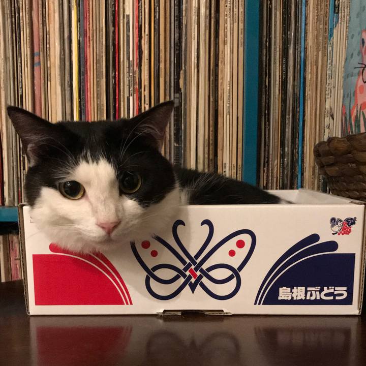 58b2905b 7769 49cd 8ecf 0aead950cdb1 1537320720552