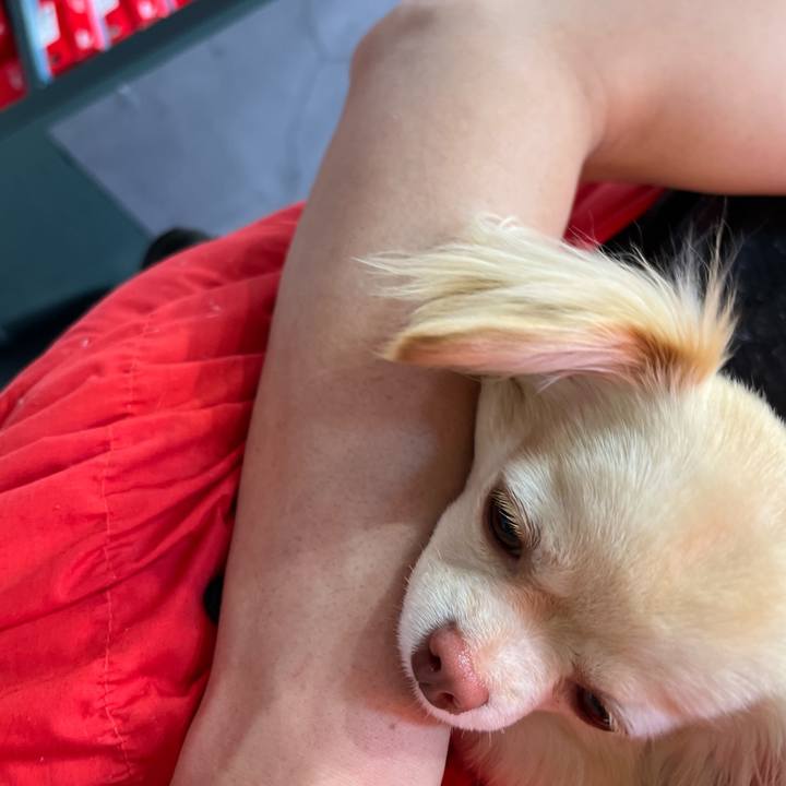 58b2a082 b67a 4e59 b82b 3e2c3a8625b2 1649741809277