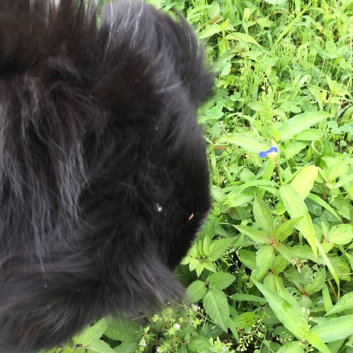 58b2e18a 8957 4281 bc10 ce971c2c4a6d 1528758075566