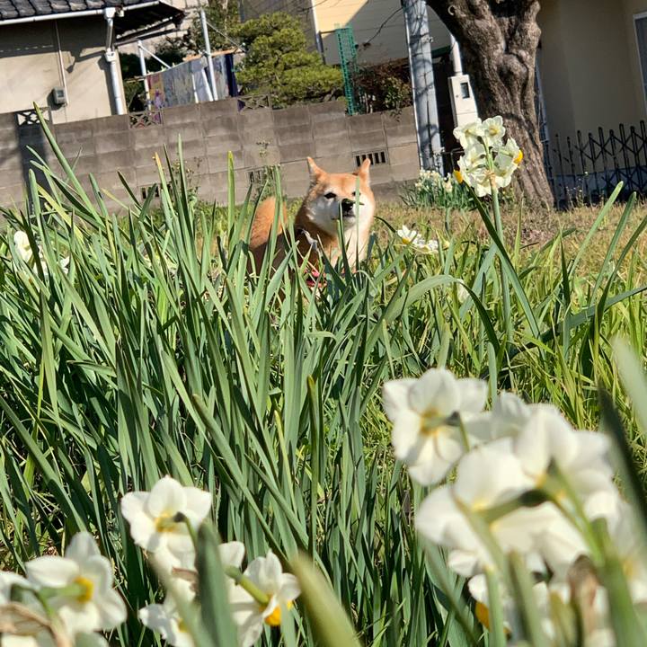 58b37e1e d728 4e0e ac1d 22d535fba45f 1582189222085