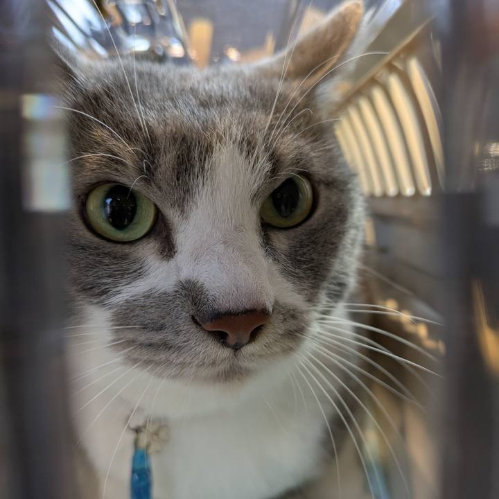 58b3871e e669 4a47 81d3 edbbe2791fb0 1754353514635