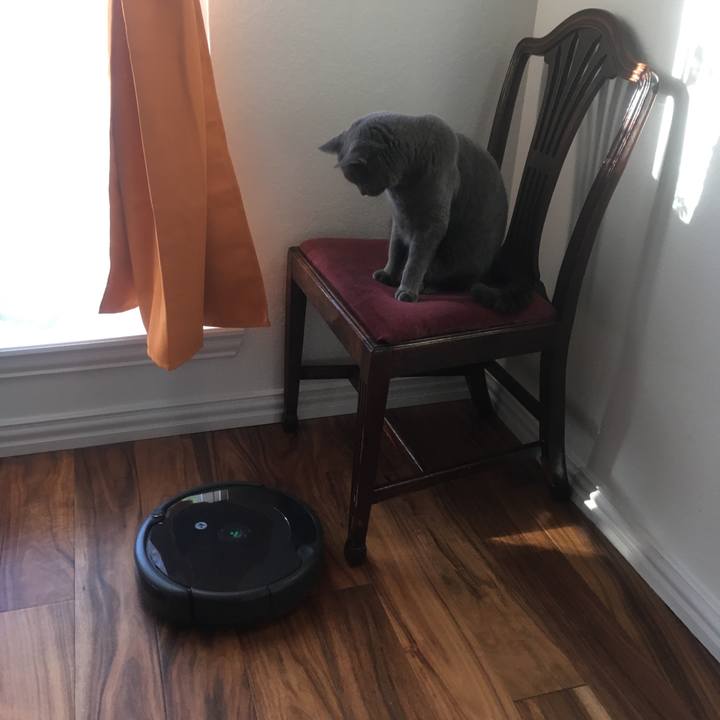 58b3969a 5d77 4054 b14f e670d943f1c3 1651191102078