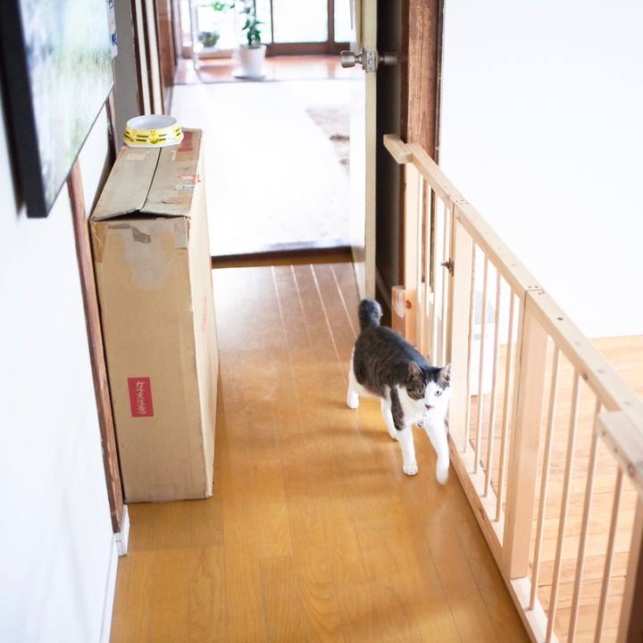 58b3c430 ae68 41c2 9d8b 678b792ae3c8 1612925669091