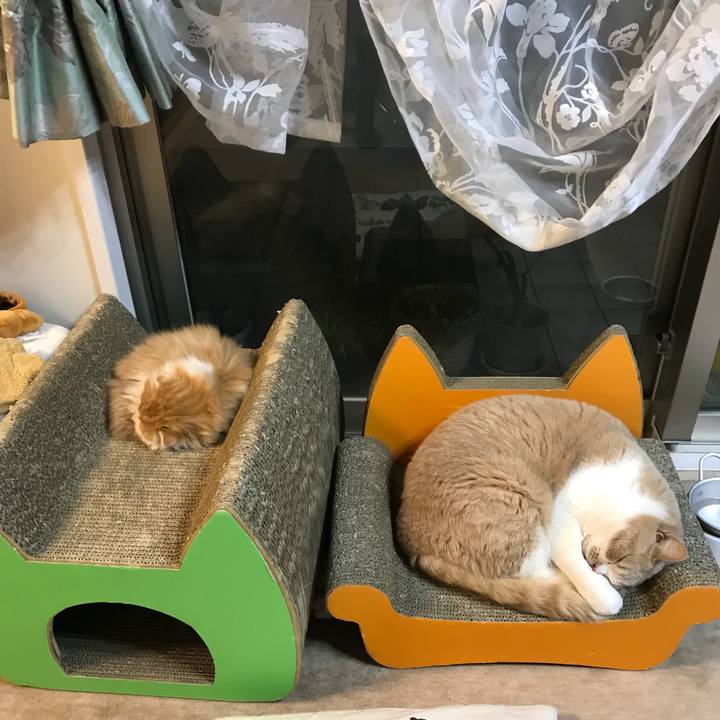 58b3c66a 606e 4212 9e58 dee64b342688 1516723666688