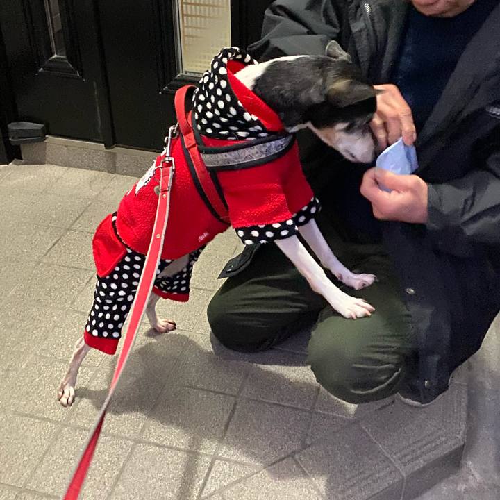 58b3f997 2340 4ab0 b70d dec1df476eb2 1582064068485